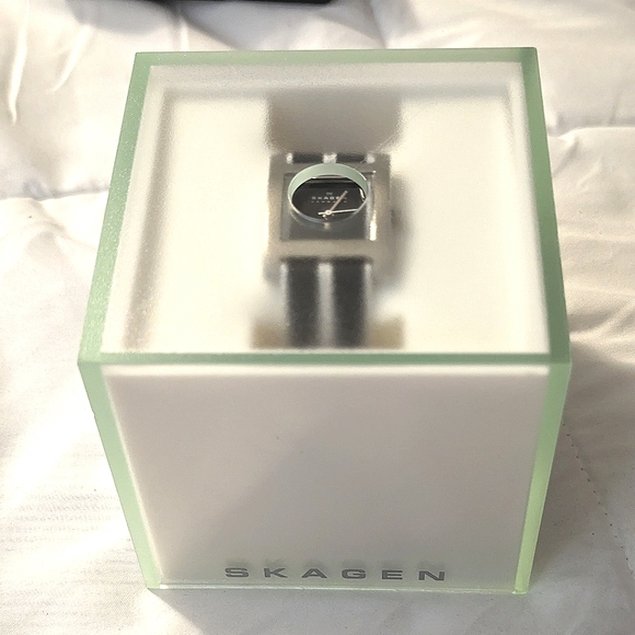 Skagen Denmark leather watch